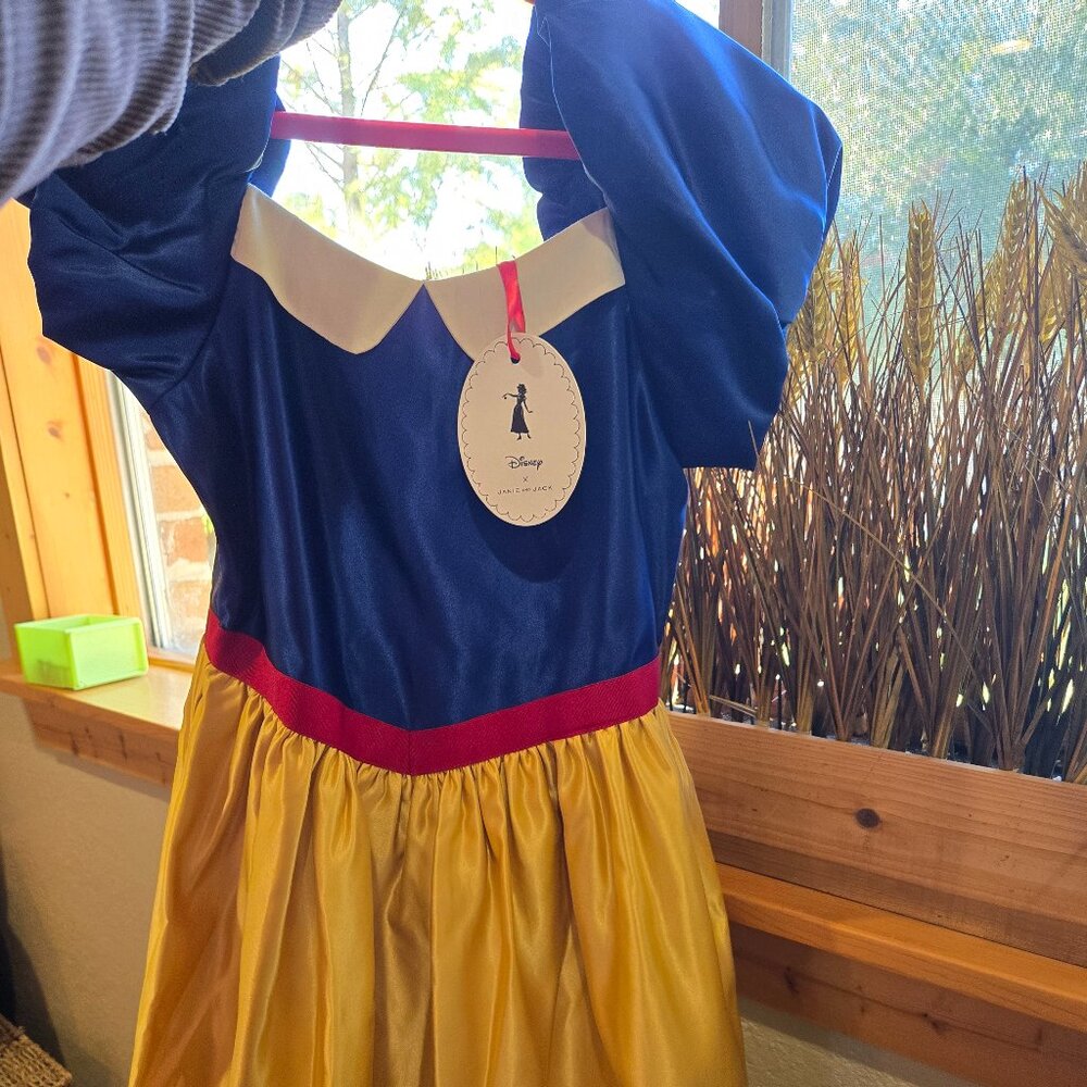 Janie and Jack & Disney dress